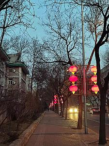 2023 02 05  PEKIN - WANSHOU TEMPLE LONGEVITE BIENVEILLANCE (57)